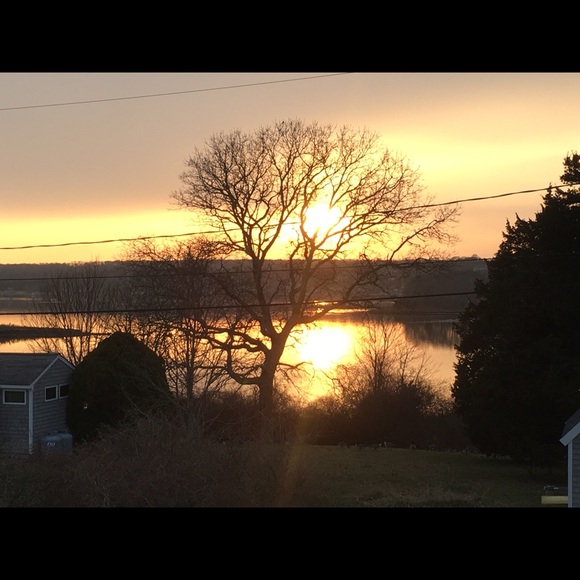 Meet Your Stylist, Lisa - Picture 4 of 12